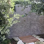 Birgi