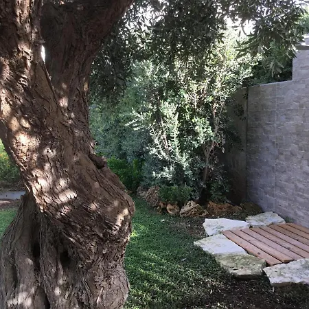 Birgi Marsala